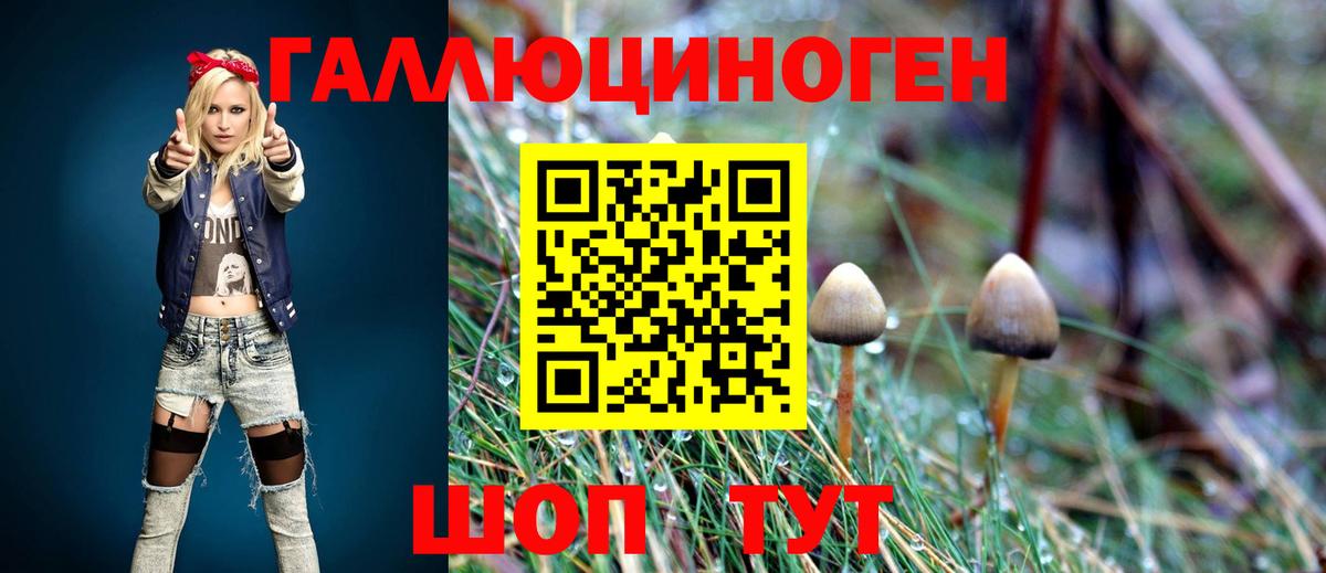 Псилоцибиновые грибы мицелий  Вход с VPN  Минеральные Воды 